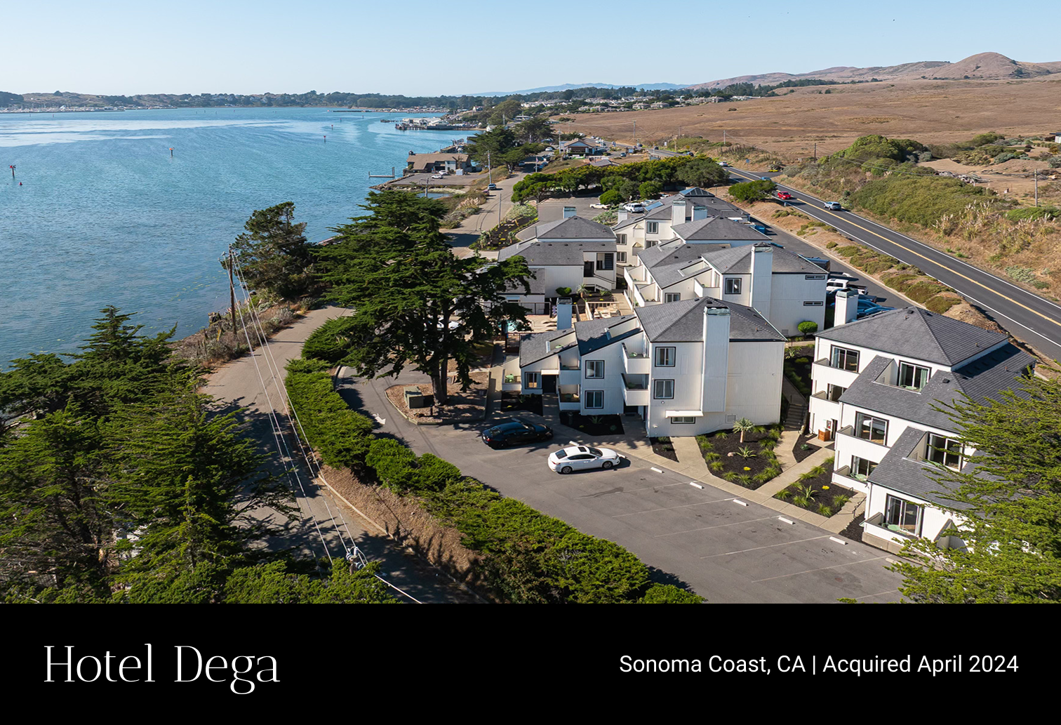 Dega-1